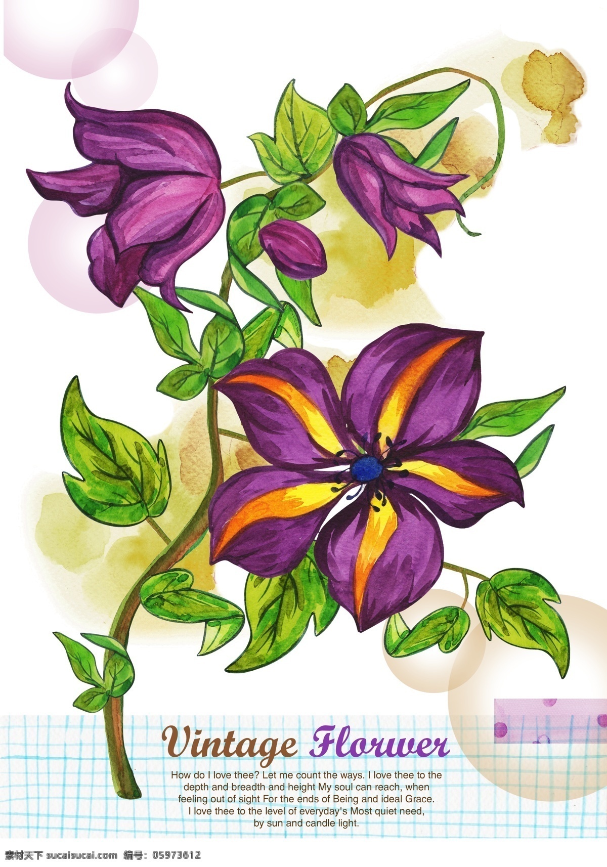 绿色 枝条 上 紫色 花朵 psd素材 花卉 绿叶 泡泡 紫色花朵 psd源文件
