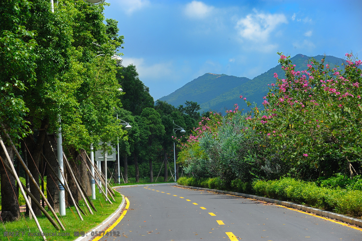 深圳市麒麟山 深圳绿化 深圳道路 城市绿化 公路 道路 大树 园林建筑 建筑园林