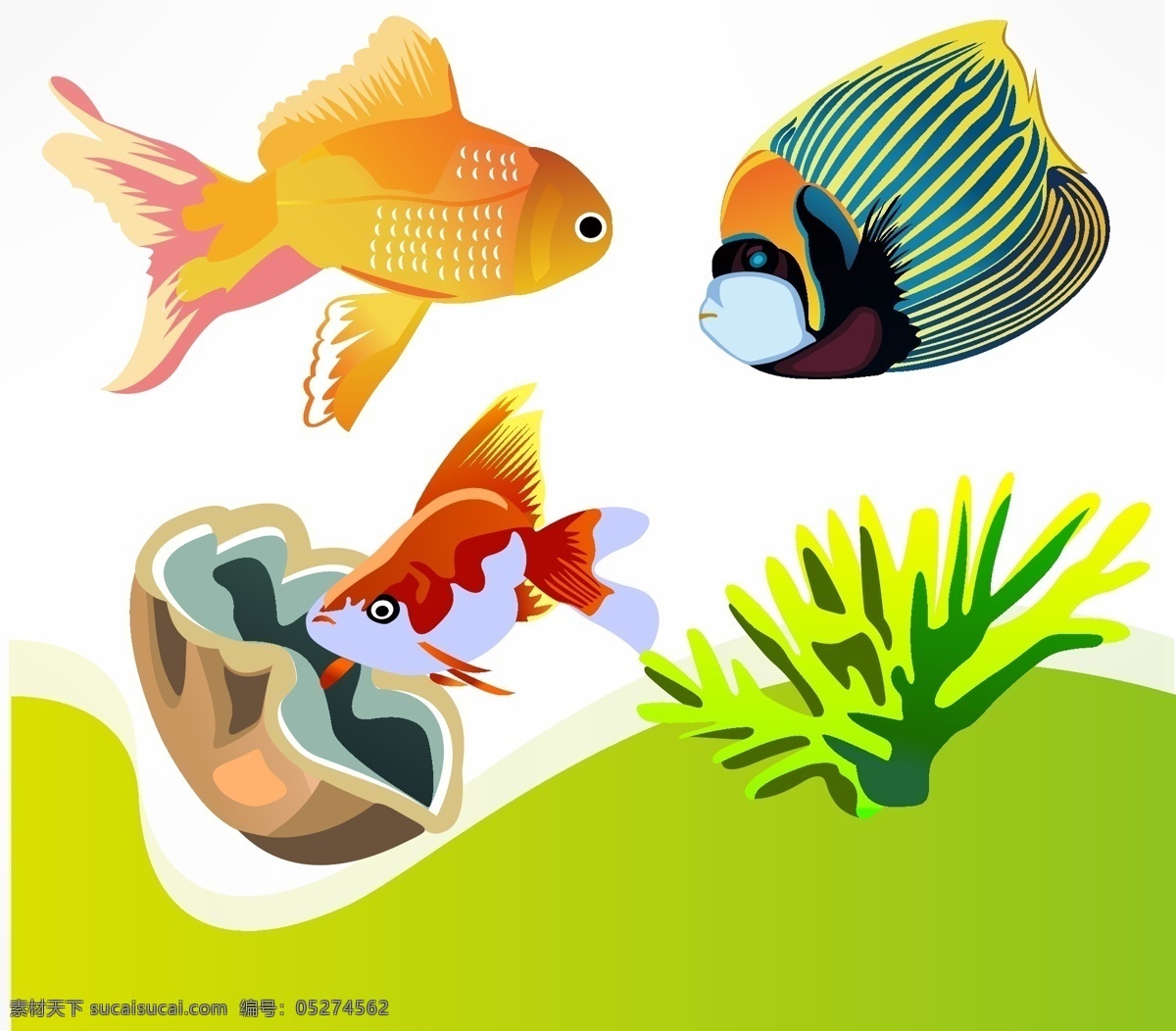 贝壳 海底世界 海洋生物 海鱼 金鱼 卡通鱼 珊瑚 生物世界 小鱼 矢量 鱼类 鱼 鱼类素材 可爱小鱼 漂亮小鱼 ai广告设计