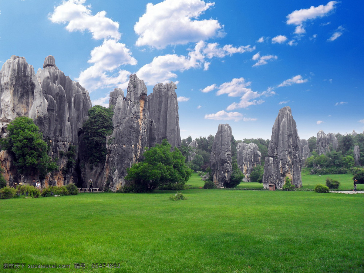 云南昆明石林 自然 美景 环境变迁 石林 小树 草地 蓝天 白云 风景 草坪 国内旅游 旅游摄影
