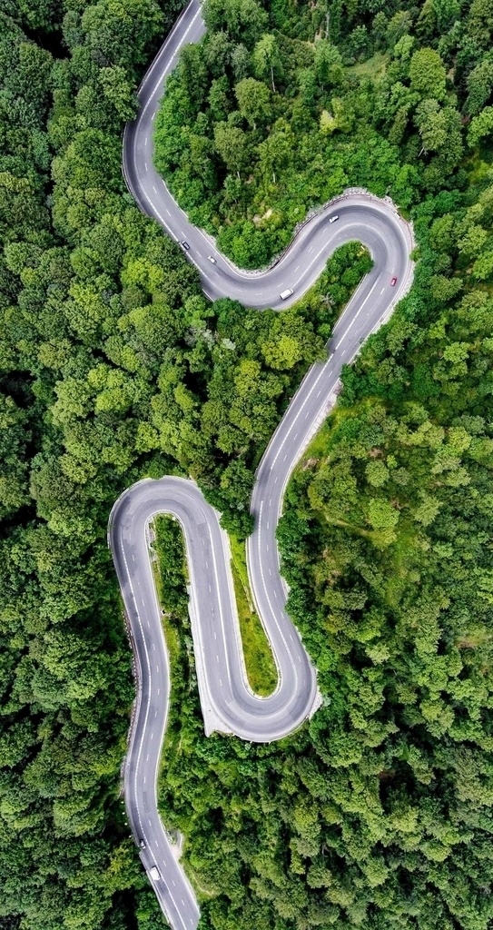 公路图片 风光 公路 曲折 汽车 树林 森林 绿色 植物 度假 旅行 棕榈树
