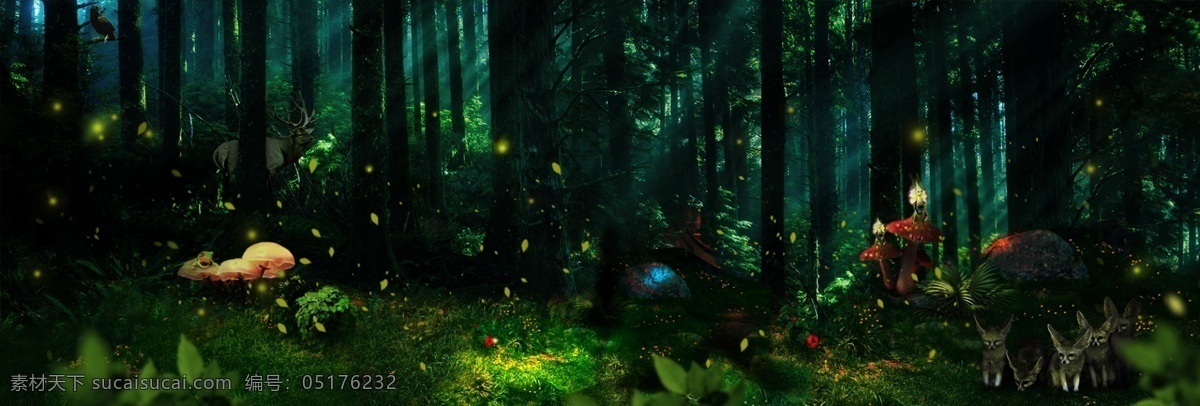森林 系 banner 背景 绿野仙踪 梦幻背景 梦幻森林 梦幻森林背景