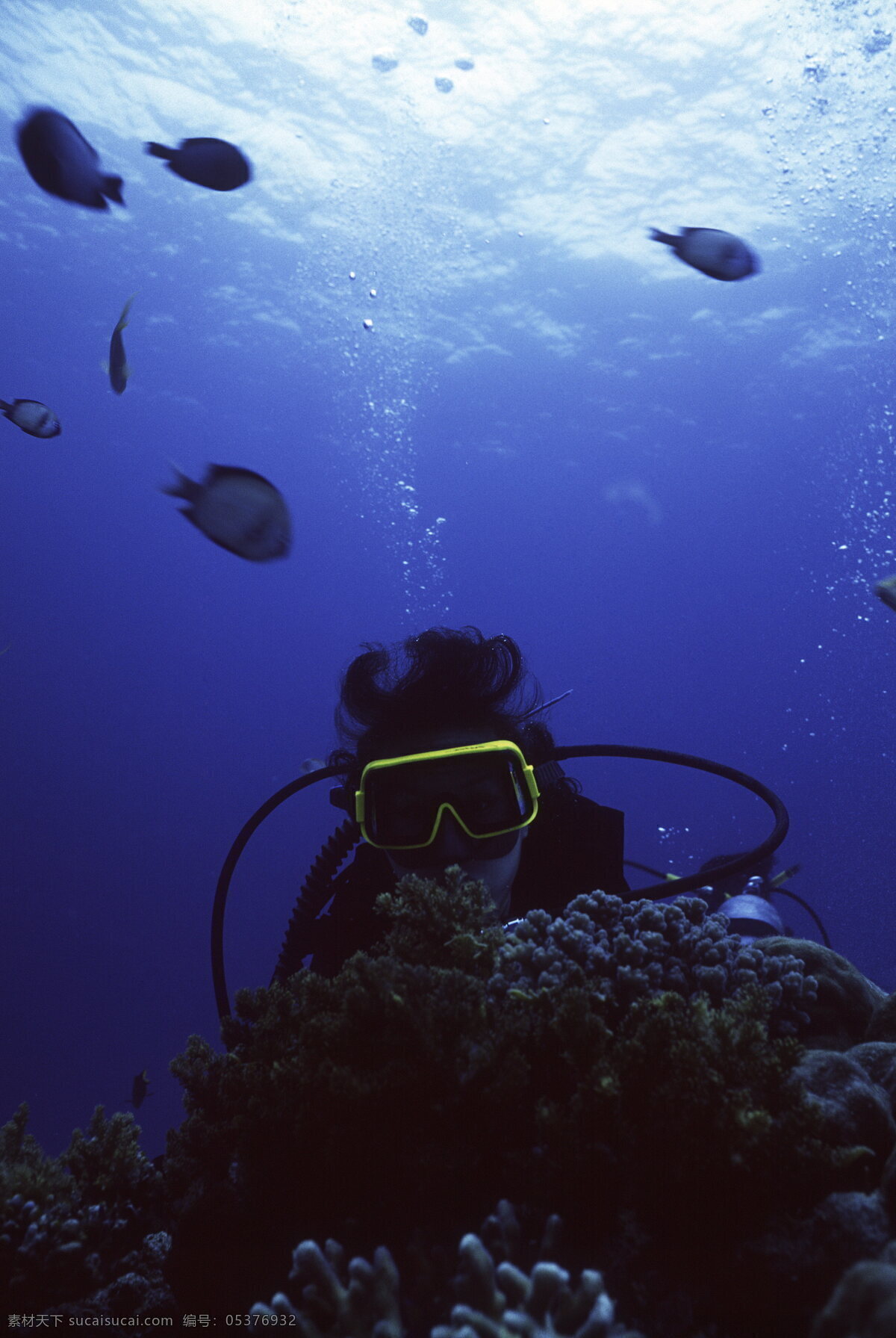 海底 世界 海底游泳 海洋 海洋生物 礁石 潜水 人物 摄影图库 生物世界 底世界 游泳 珊蝴 鱼类 鱼