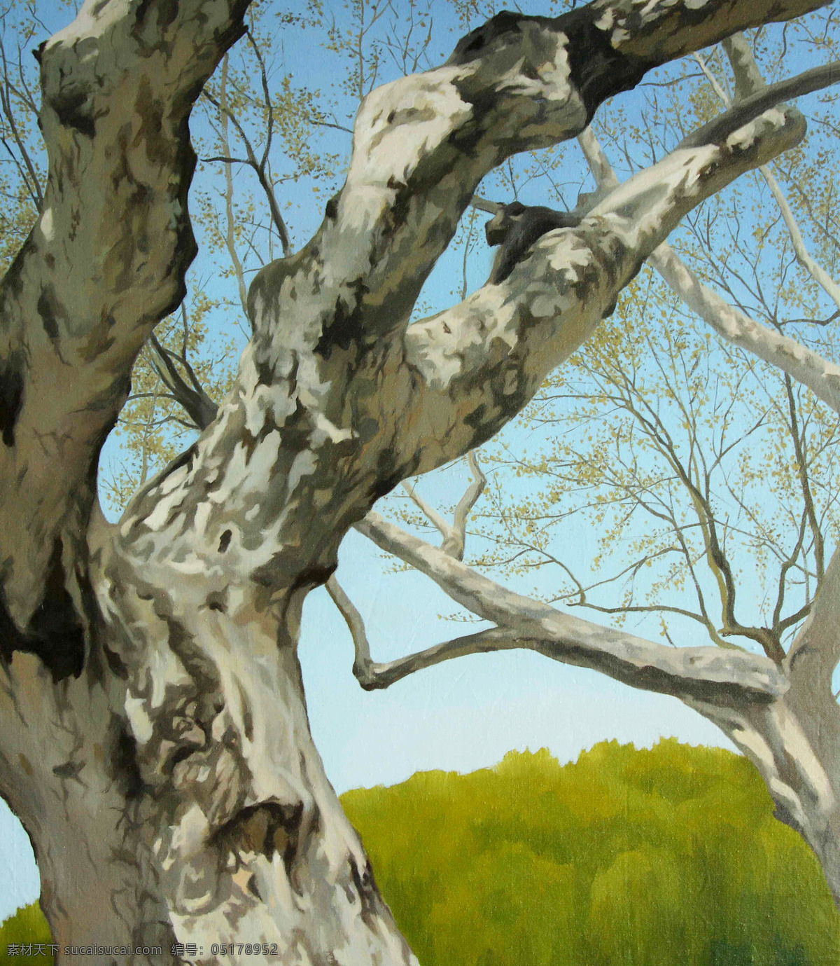 春 舞 大树 风景 绘画书法 美术 树林 树木 文化艺术 春舞 油画 油画艺术 油画作品45 家居装饰素材