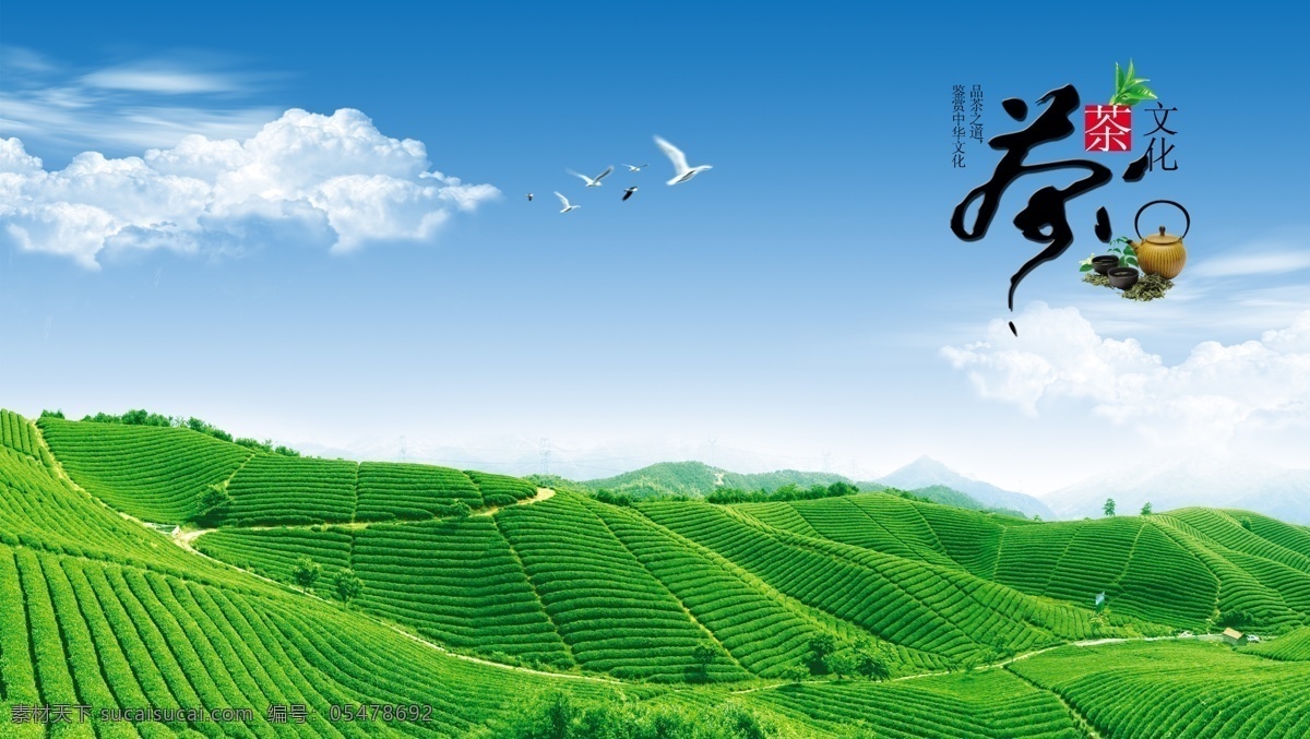 茶 茶叶 茶道 采茶 制茶 茶园 茶山 茶韵 茶工艺 茶制作流程 中国茶道 茶画册 茶包装 茶馆 茶展板 茶叶包装 茶文化广告 茶文化海报 传统茶文化 茶行 茶广告 禅茶 养生 品茶 茶谱 功夫茶 绿茶 红茶 龙井茶 铁观音 普洱茶 茶人物 茶剪影 春茶新茶 新茶上市 茶海报 春茶来了