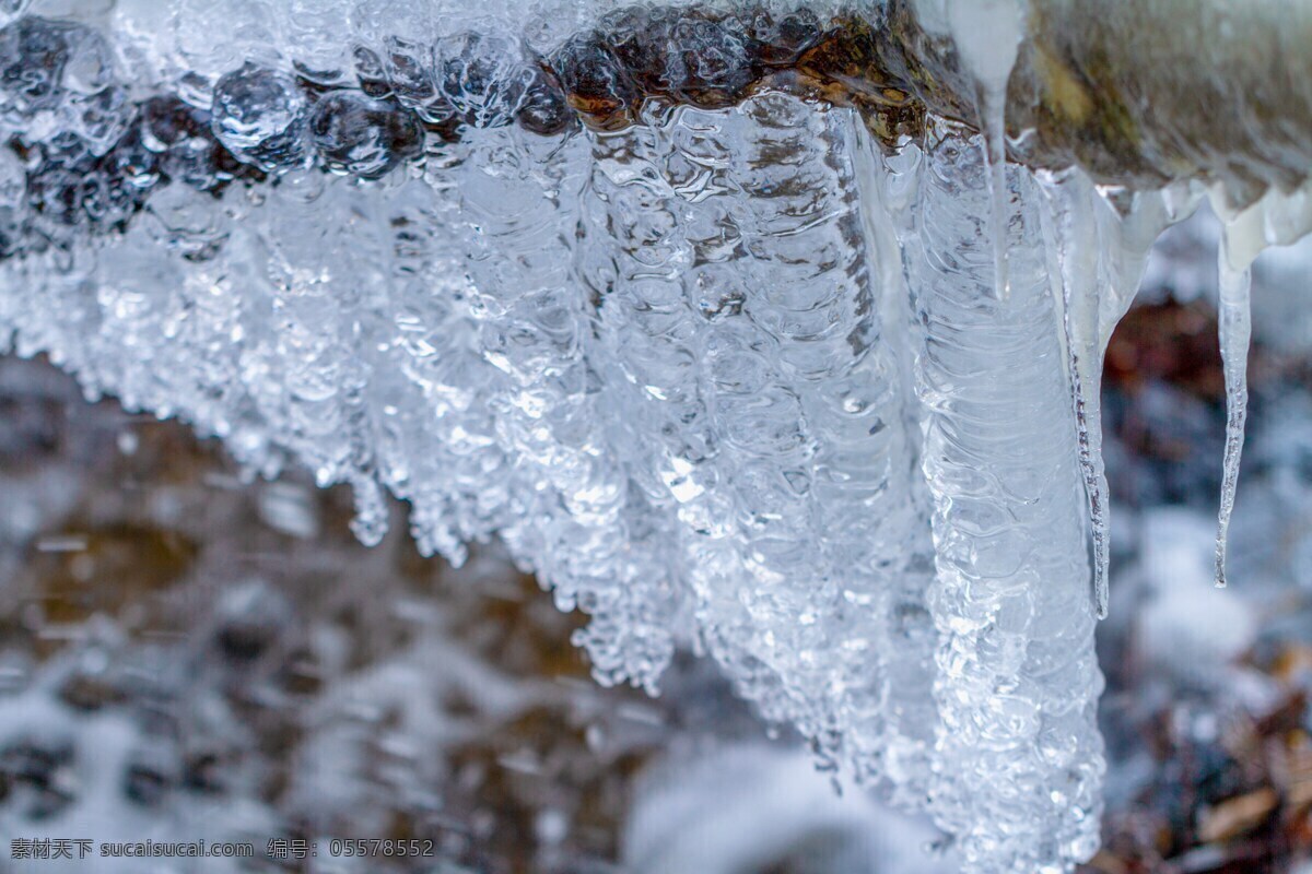 冬天 冰柱 雪 冰 水 冻结 弗罗斯特 冷 闪光 冬季 冬季魔术 自然景观