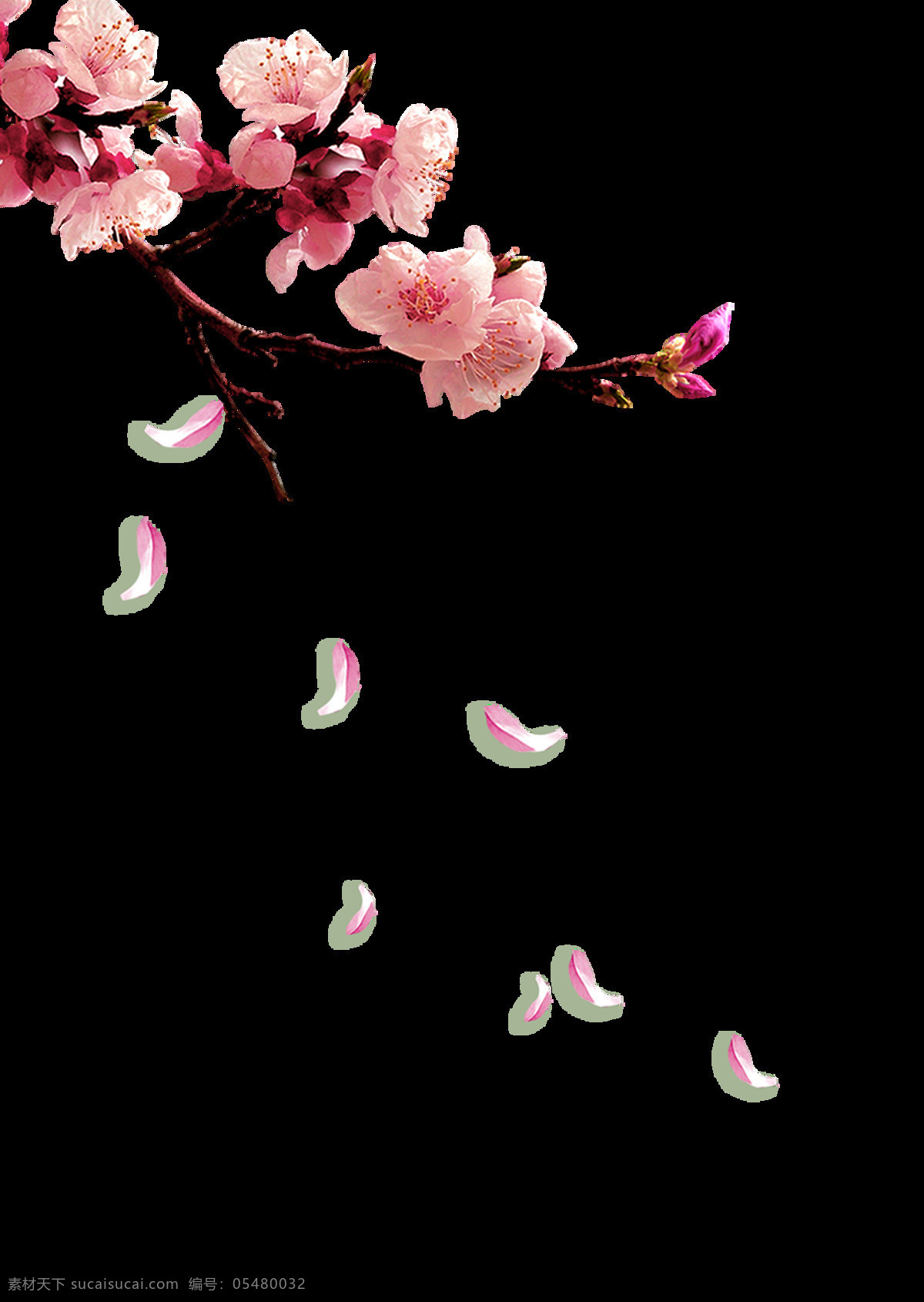 小 清新 梅花 小清新梅花 一枝梅 花朵 树枝 中国风 折纸 小清新 梅花照片 落梅 花瓣