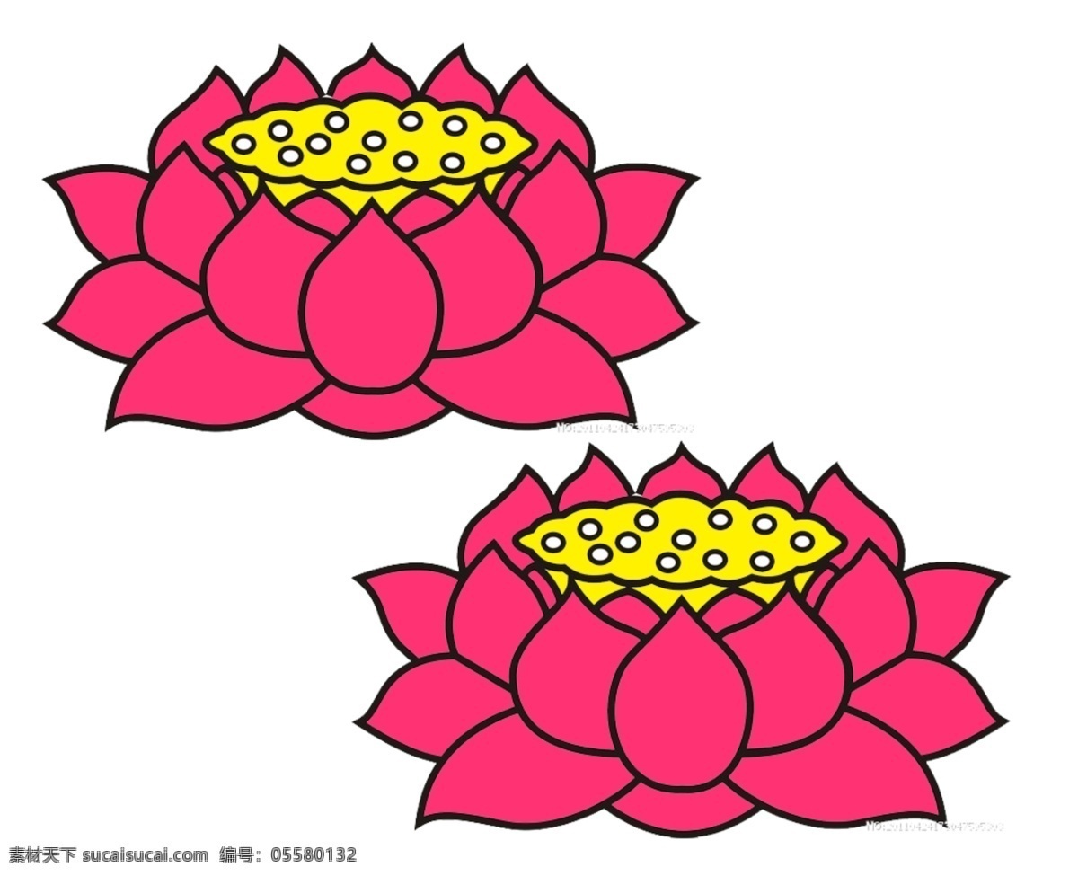 粉色莲花 装饰 莲花 图案 两个 粉色