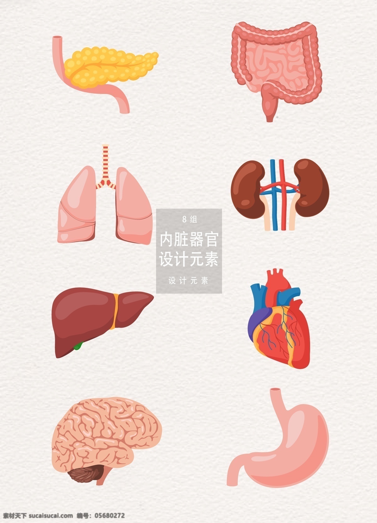 人类 内脏 器官 元素 医疗 心 心脏 胃 大脑 内脏器官 人类内脏 身体 大肠 肺