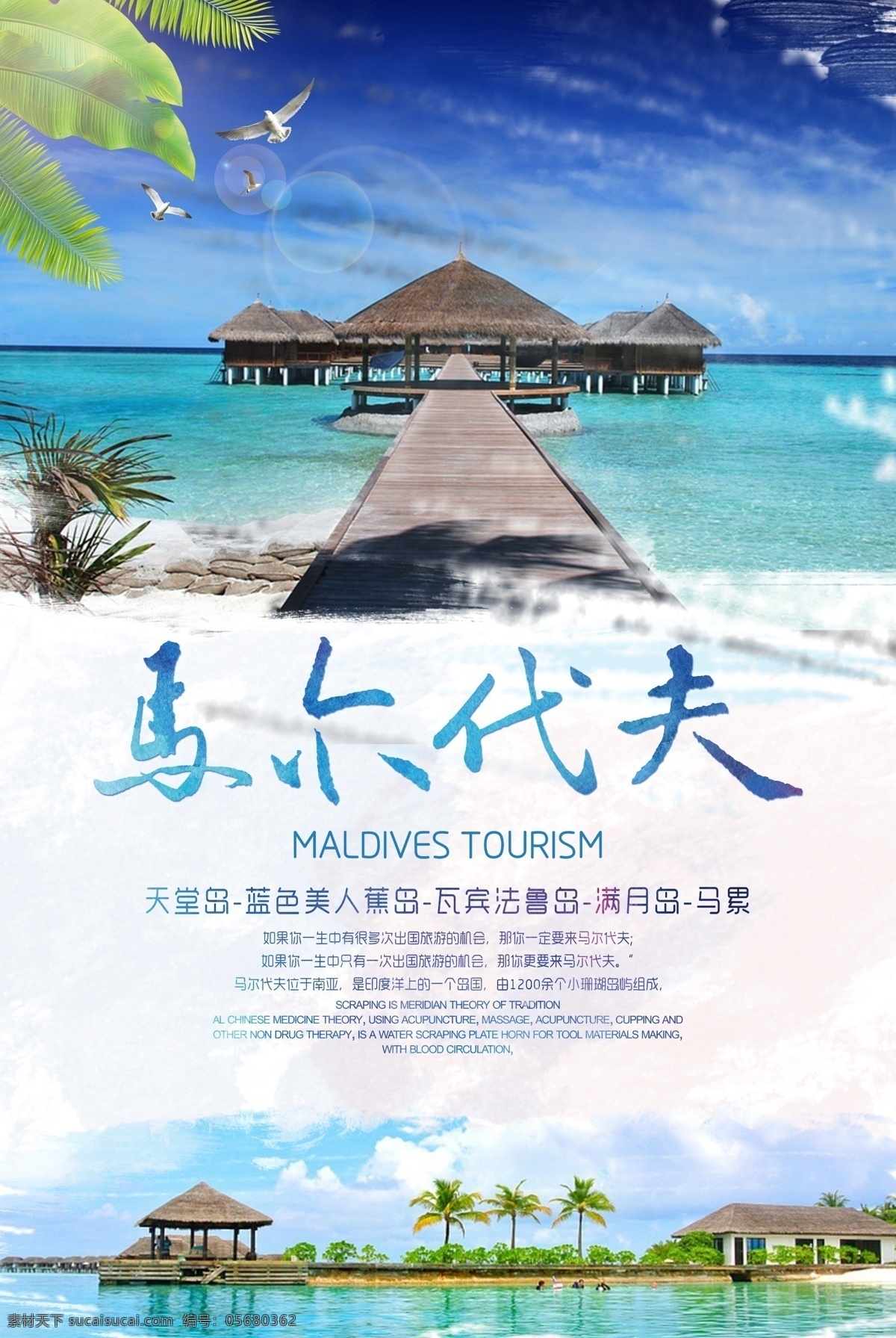 马尔代夫 旅游 宣传海报 格式 宣传 海报