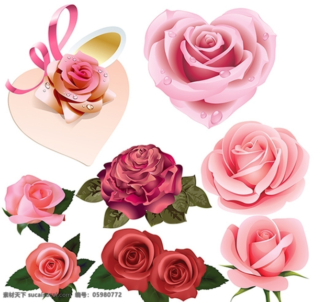 粉红玫瑰 玫瑰花素材 矢量玫瑰 心形玫瑰 红玫瑰 玫瑰特写 花卉植物 分层
