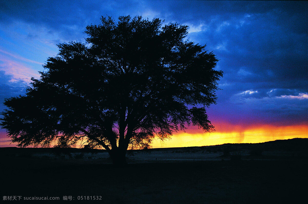 风景 树 夕阳 晚霞 自然景观 摄影图库 300