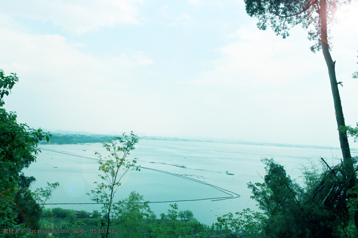 海鸥 树木 自然风景 自然景观 滇池 昆明滇池 鱼塘 昆明海埂 海埂公园 滇池游艇 风景 生活 旅游餐饮