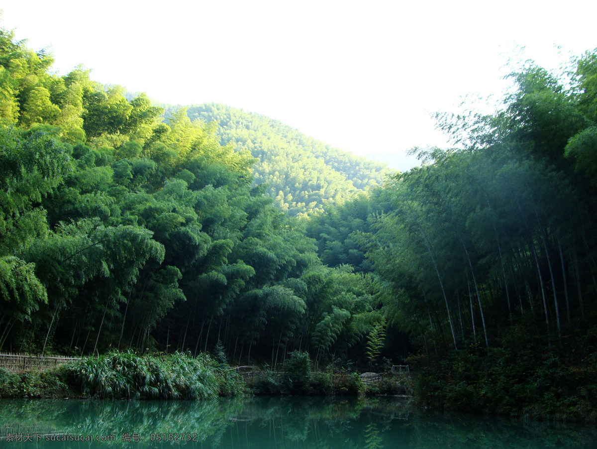 木 坑 竹海 湖水 建筑景观 竹子 自然景观 木坑竹海 宏村 建筑 山水 矢量图 日常生活