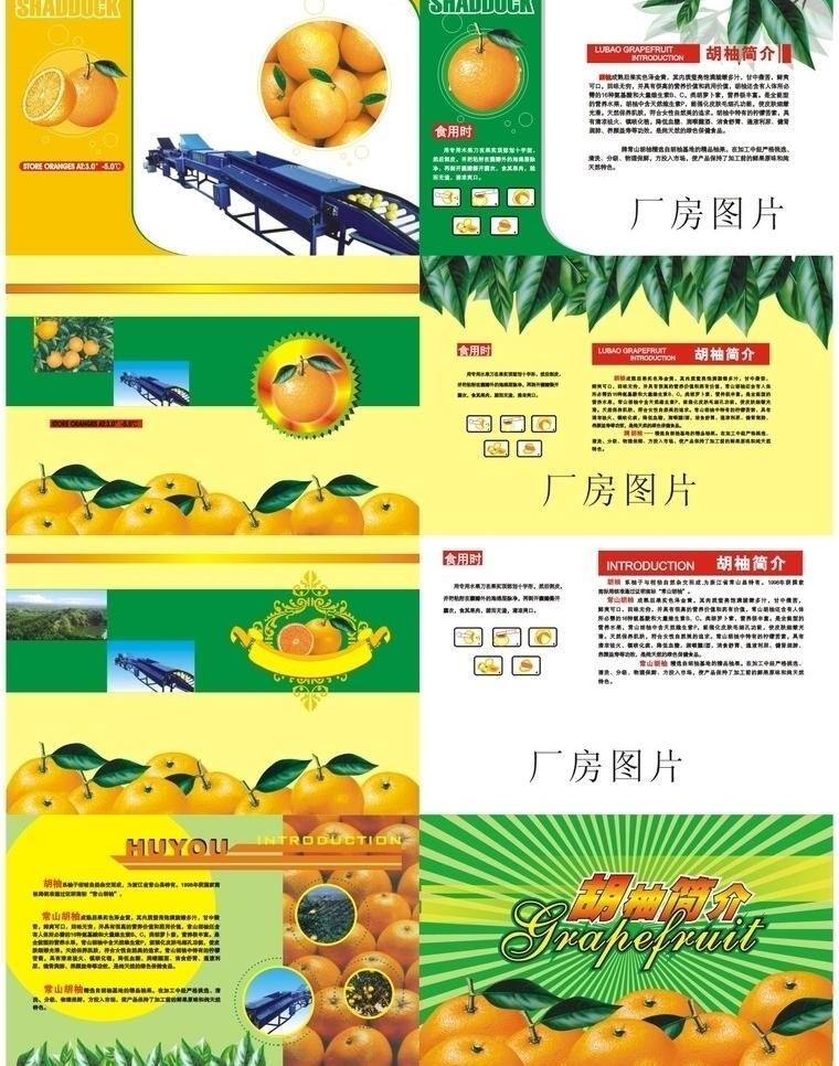 包装设计 柑橘 桔子 水果包装 胡柚 脐橙 说明书 矢量 模板下载 脐橙说明书 矢量图 日常生活