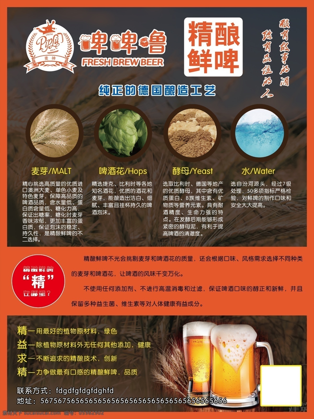 啤 噜 精 酿 鲜啤 海报 啤啤噜 精酿 啤酒 啤酒海报