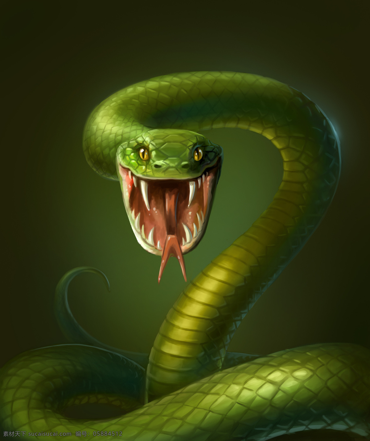3d 蛇 3d动物 立体动物 陆地动物 动物世界 卡通动物 漫画动物 其他类别 生活百科