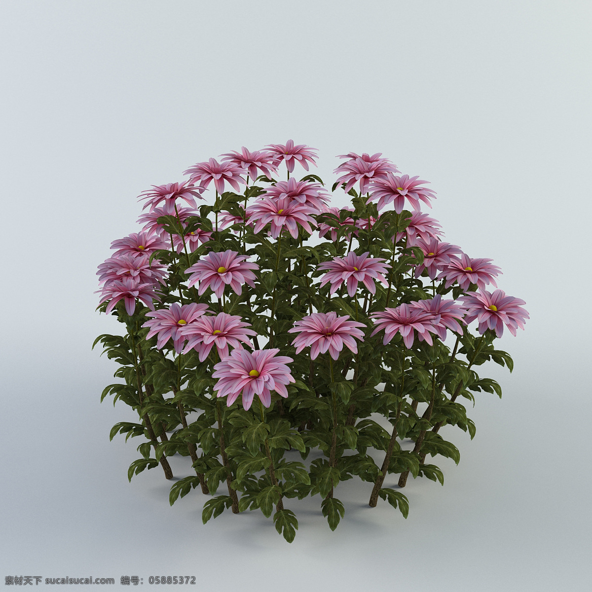 鲜花 盆景 模型 3d模型 3d渲染 效果图 模型素材 盆景模型