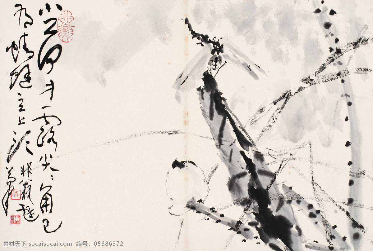 小荷才露尖尖角 国画 水墨画 荷花 蜻蜓 文化艺术 绘画书法 陆抑非书画 设计图库