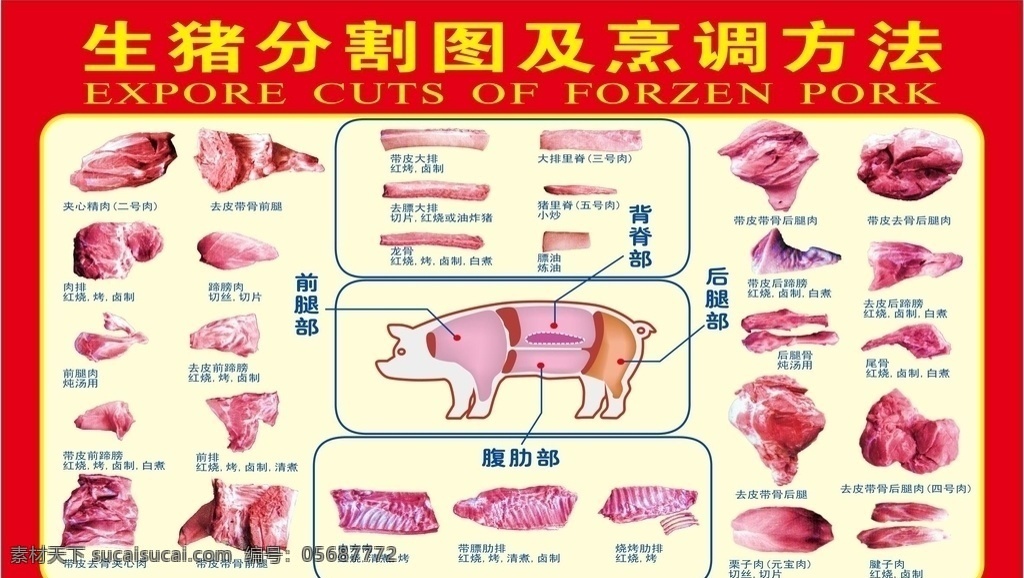 生猪 分割 图 烹饪 方法 分割图 猪部位 排骨 猪肝 猪头 猪皮 猪脚 肘子 猪肠子 猪心 猪