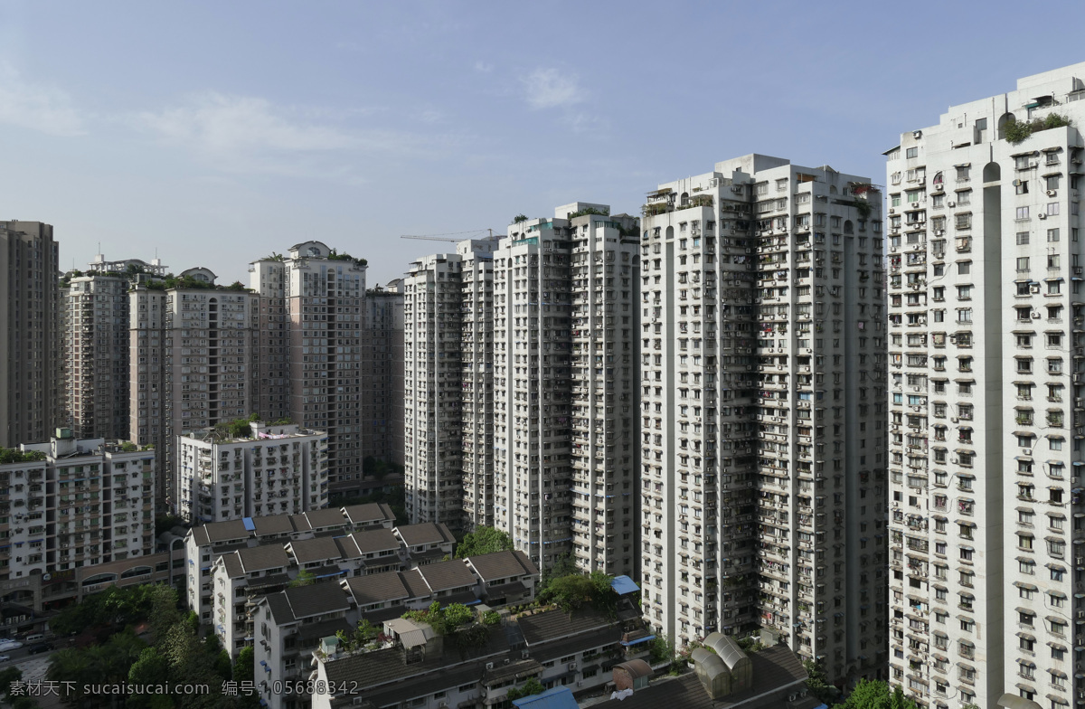 百 鹤林 小区 楼宇 大楼 城市建筑 城市森林 社区楼宇 小区高楼 小区建筑 相机拍摄 建筑园林 建筑摄影
