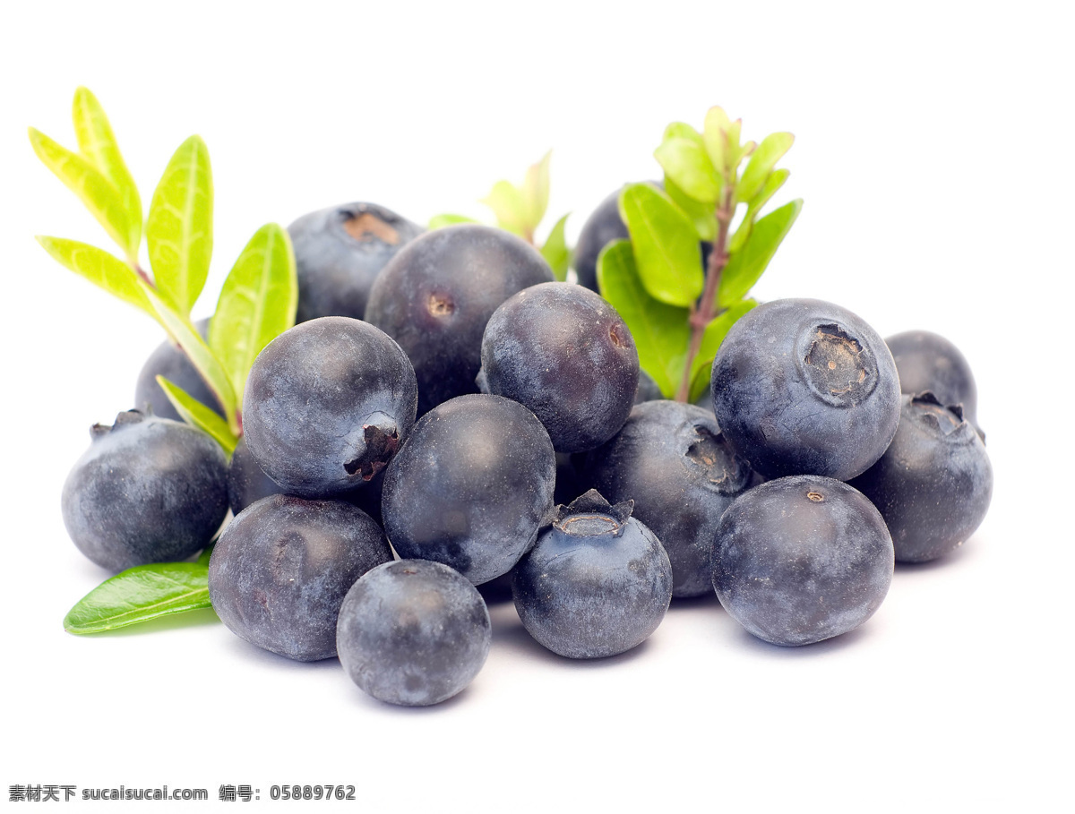 高清蓝莓 蓝莓 水果 美食 营养 美味 生物世界