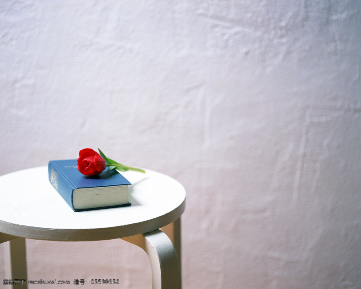 玫瑰书籍 玫瑰 书籍 白色圆桌 生活 白墙 生活百科 生活素材