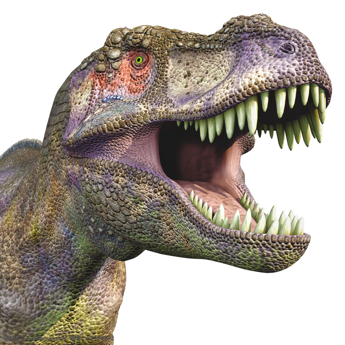 嚎叫 霸王龙 恐龙 3d动画 侏罗纪 侏罗纪公园 陆地动物 生物世界