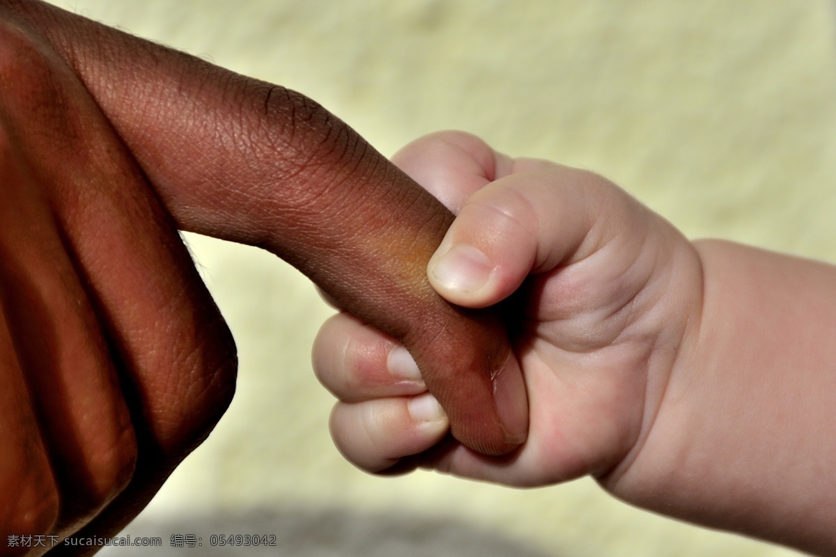 两 种 肤色 手 两种肤色的手 种族歧视 婴儿手 特写 其他类别 生活百科