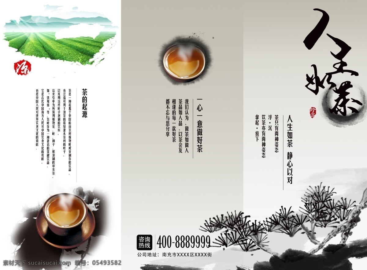 正面 茶 茶文化 折页 中国风 清新 折页排版 茶素材 复古