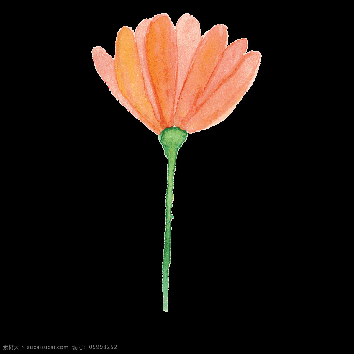 透明 花瓣 卡通 花朵 红色 透明素材 免扣素材 装饰图案