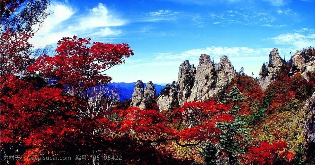 风景图片 风景 桌面壁纸 自然景观 自然风景 壁纸图片 壁纸 山水风景 山水画图片 河流 唯美图片 风景画 风景壁纸 唯美壁纸 唯美素材 背景图片 背景素材 蓝天白云 大自然 高清风景图片 拍摄 生态 绿叶 花 草 植物 植物特写 拍摄素材