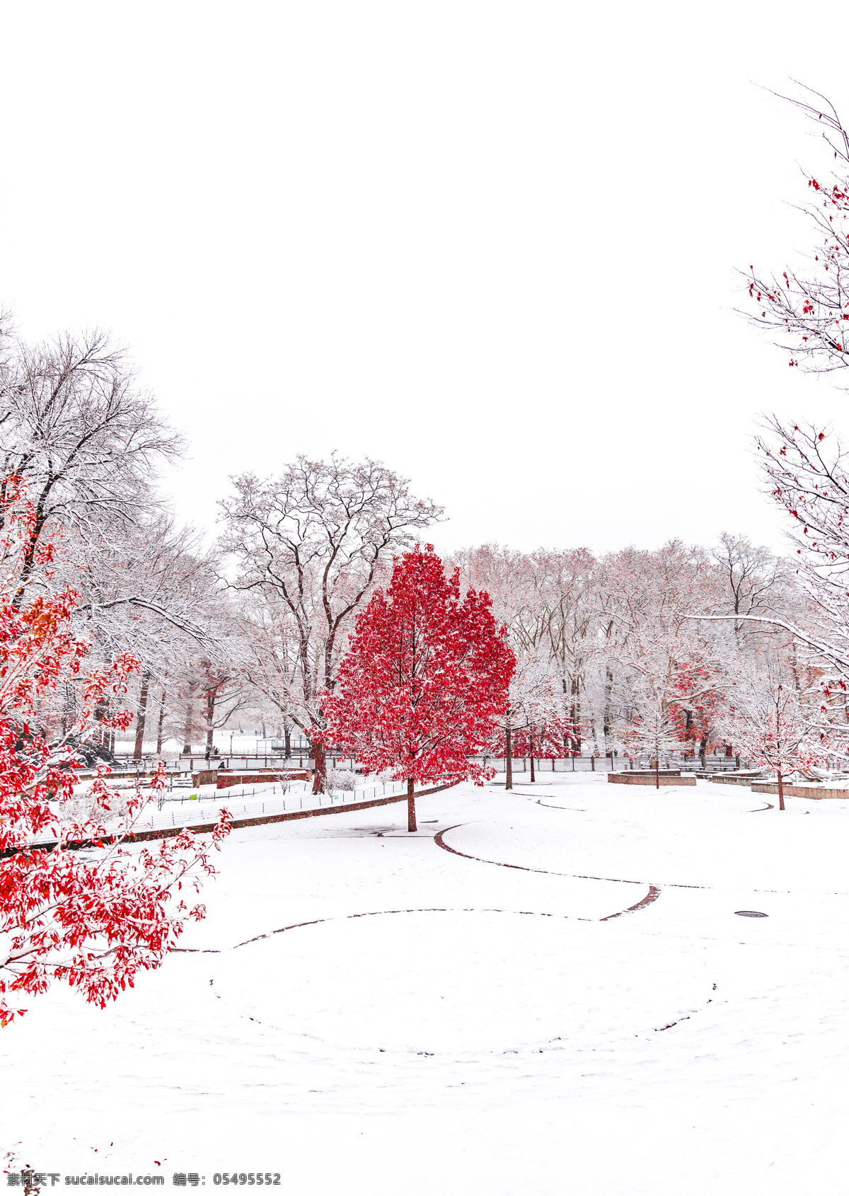 雪景 雪地 白雪 红叶 壁纸 树木 树林