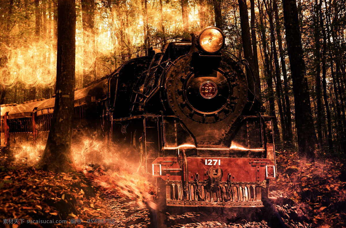 火车 列车 黑色 引擎 森林 照片 机车 组成 photoshop 消防 蛮 幻想 蒸汽火车 铁路轨道 运输 老 蒸汽 老式 户外 没有人 晚上 自然 现代科技 交通工具