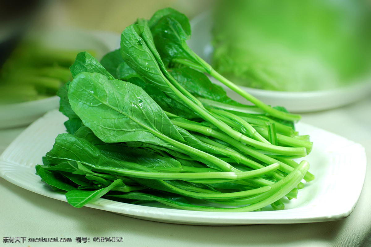 田园 时蔬 菜心 田园时蔬菜心 田园时蔬 蔬菜高清 诱人青菜 生物世界 蔬菜