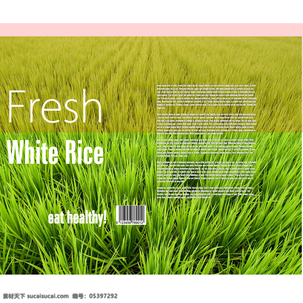 五谷杂粮 货架 模型 超市 粮食 食品 米 商品 3d渲染 模型素材