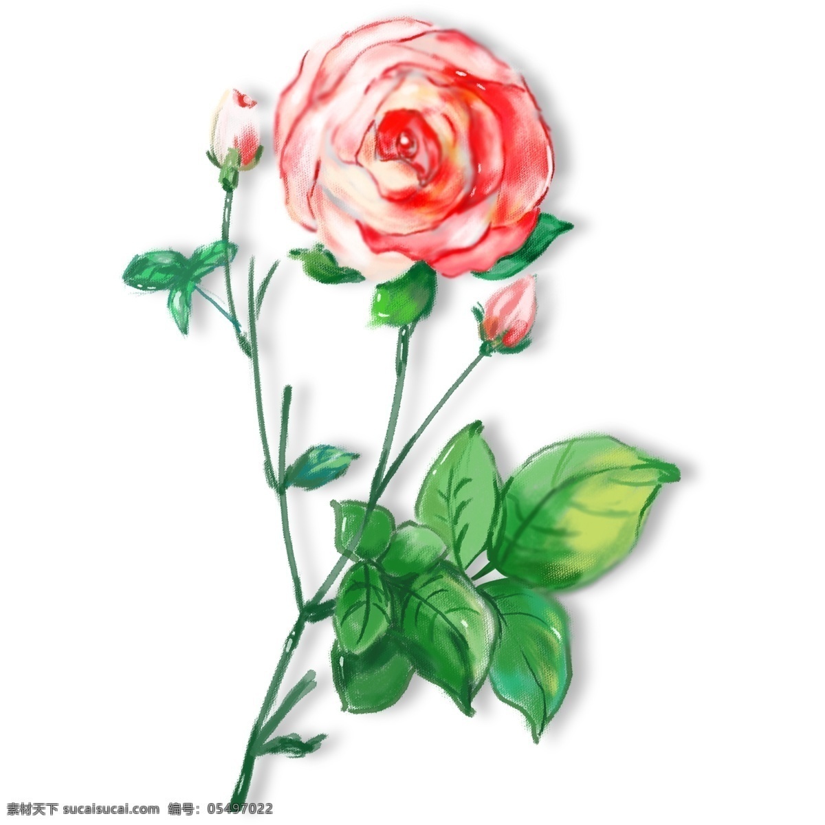 手绘 红色 玫瑰花 元素 玫瑰 绿叶 元素设计 装饰图案 彩色元素 卡通元素 可爱元素