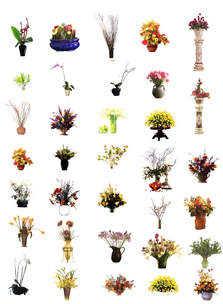 ps 后期 花卉 植物素材 植物后期素材 ps后期素材 室内后期素材 ps后期处理 室内后期 ps处理 分层素材 花素材 花分层 高精花分层 花盆素材 草坪 花圃 花集合 后期处理 盆花 花盆 景观后期贴图 植物后期贴 分层 源文件