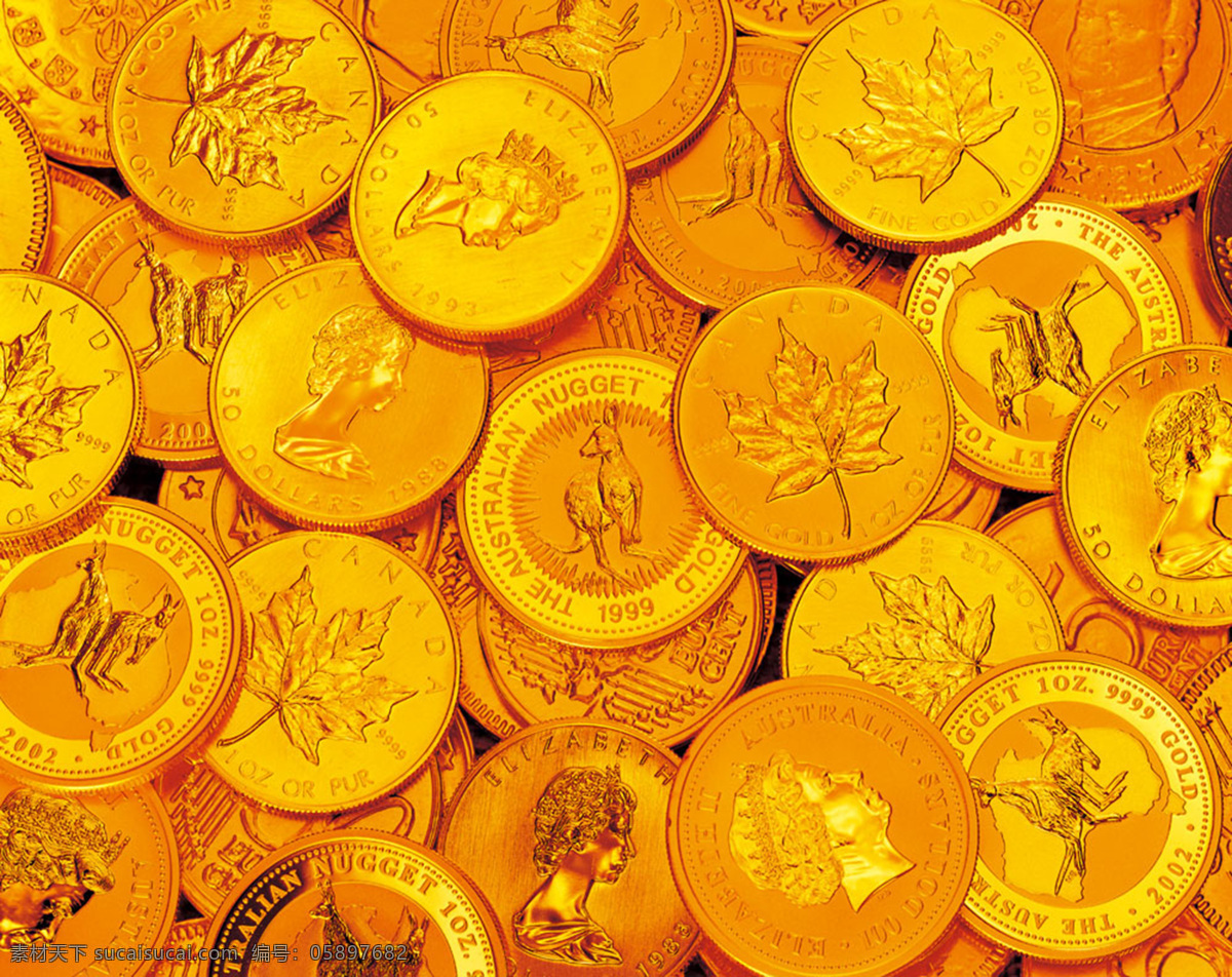 欧美 金币 背景 图 枫叶 金融 外国钱币 背景图片
