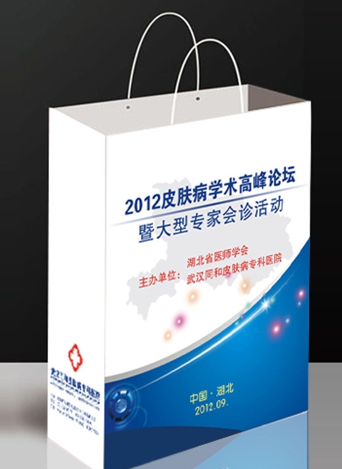 手提袋 纸袋 会议资料袋 注平面图 会议手提袋 医疗 论坛 会议 学术 皮肤病 资料袋 医疗学术论坛 学术会议 高峰论坛 大型会议 矢量