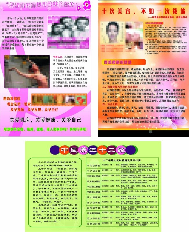 美容 宣传 花朵 美女 美容宣传 人物 丝带 胸部 养生十二经 矢量图