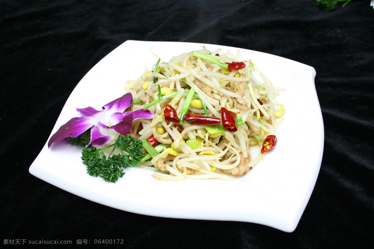 炒青豆芽 饭店菜品 精品菜 美味佳肴 舌尖上的中国 传统美味 流水席 饭席 鲜香 椒盐 传统没事 现代美食 川菜 豫菜 卤菜 鲁菜 京菜 特色菜 炒菜 腌菜 热菜 美食 传统美食 餐饮素材 饭店 酒店 吃饭 饭 菜 餐饮 餐饮美食