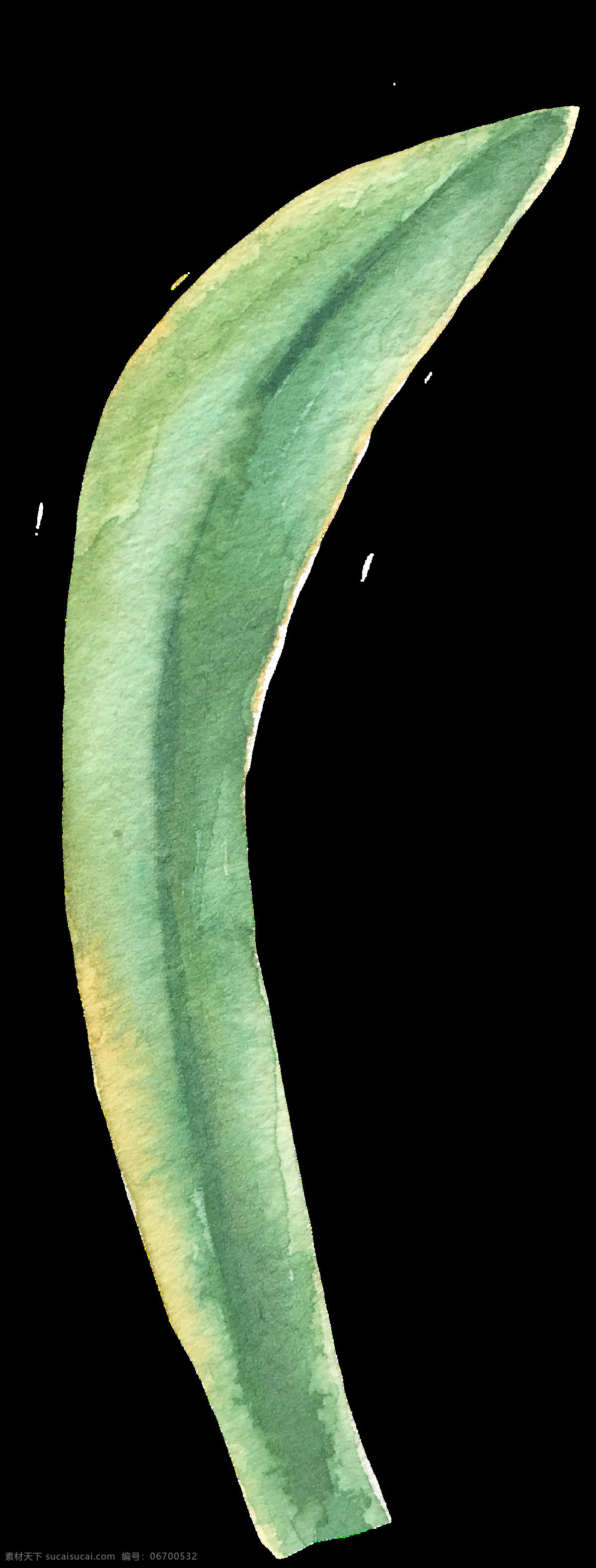 芦荟 弯刀 卡通 透明 植物 绿色 透明素材 免扣素材 装饰图案