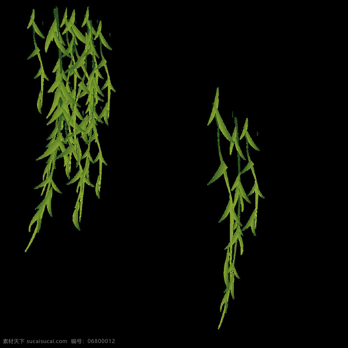 垂柳透明素材 垂柳 免扣 透明素材 装饰 设计素材 淘宝素材 海报设计装饰 装饰图案