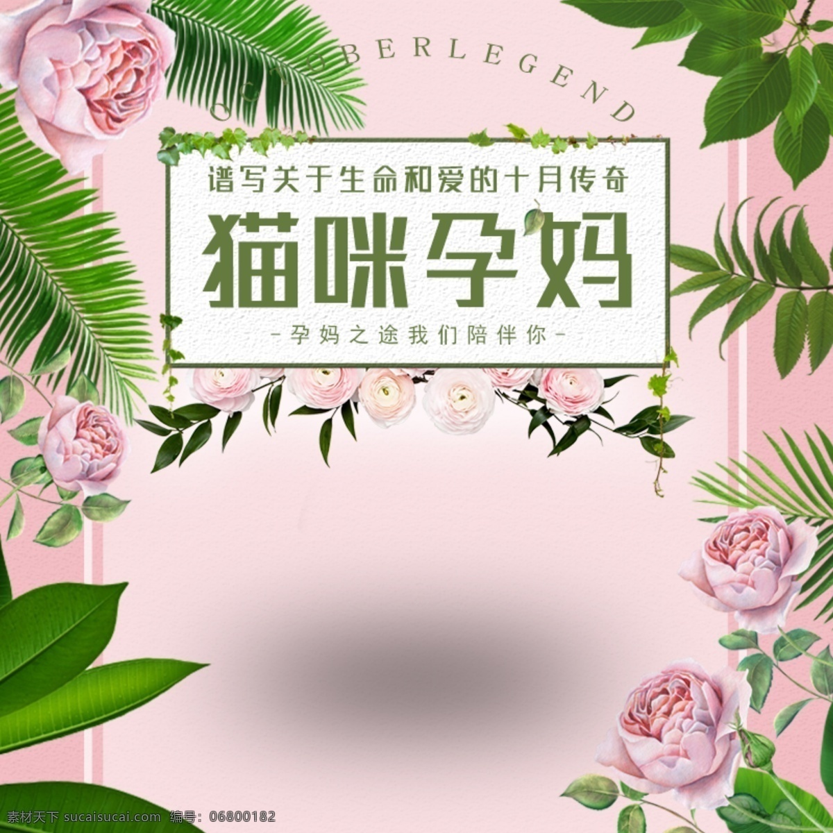 电商 淘宝 女装 首 图 促女装 粉色 上新 小清新 新品 直通车 主图