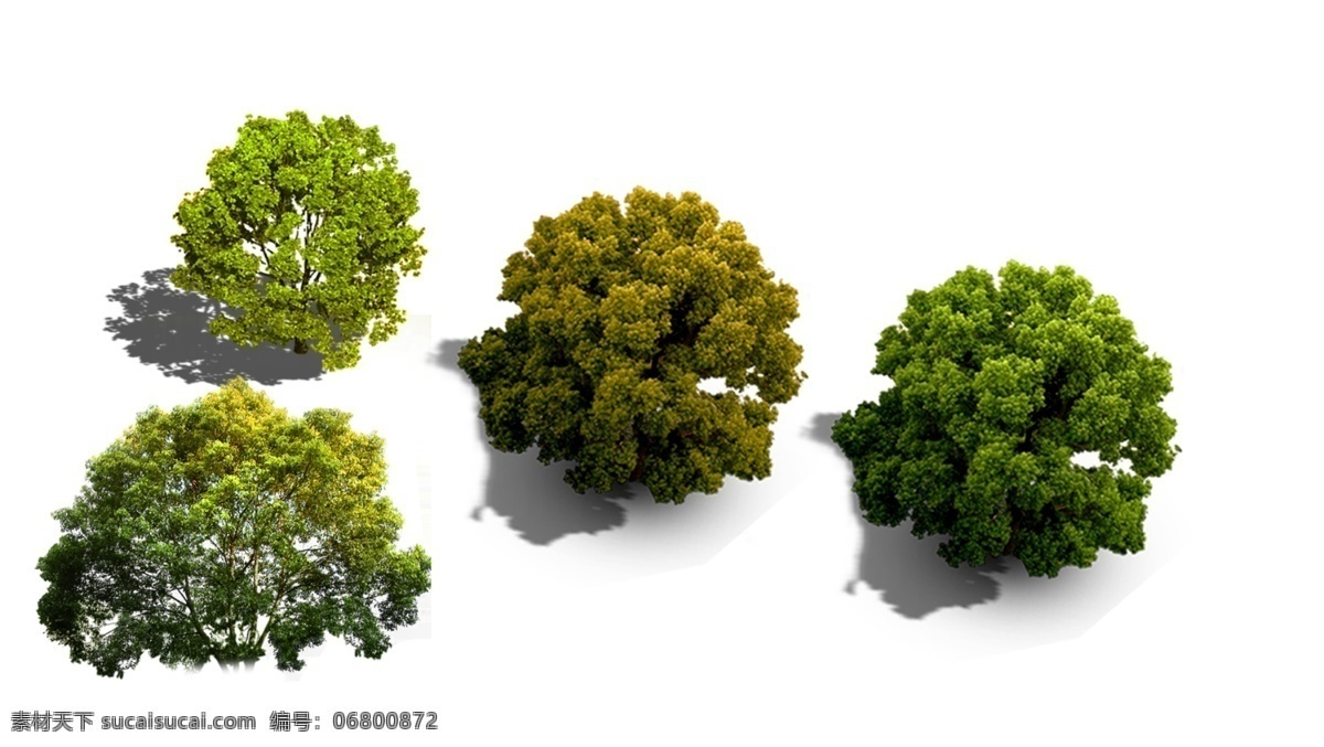 鸟瞰树 ps素材 乔木 常绿 景观 后期处理 建筑表现素材 环境设计 景观设计