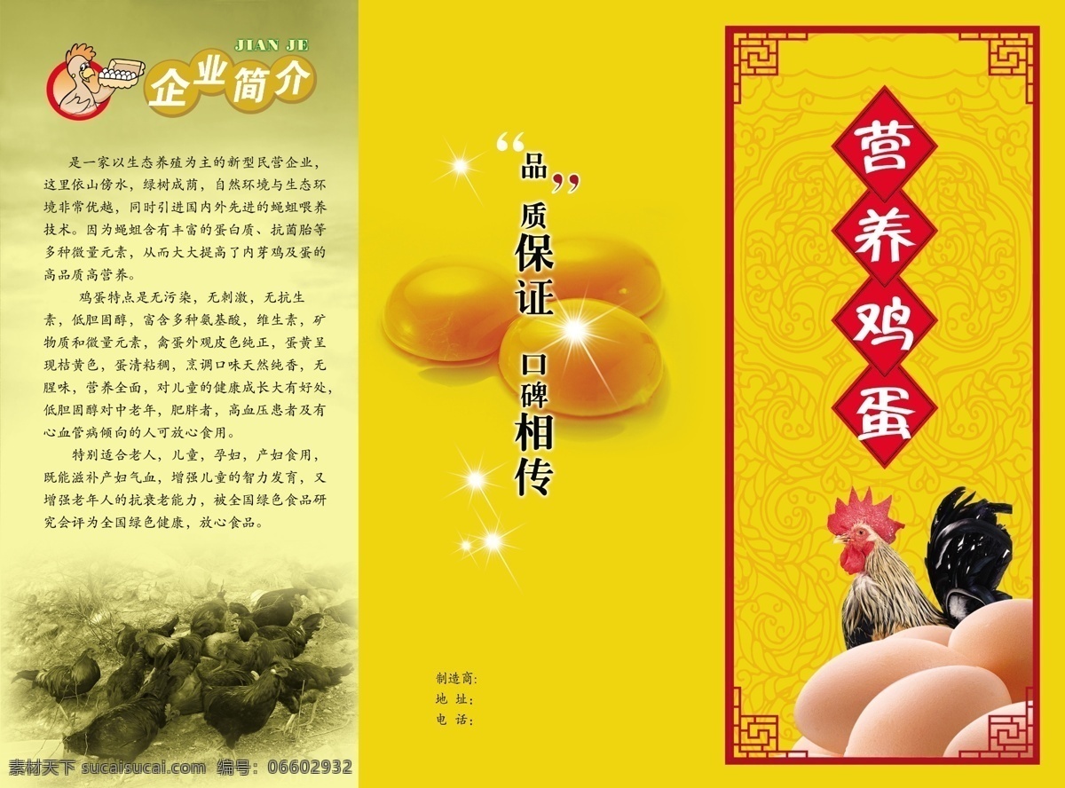 鸡蛋 宣传 三 折页 宣传页 psd宣传页 单页 公鸡 黄色 艺术字 印刷折页 印刷 单 页 psd源文件