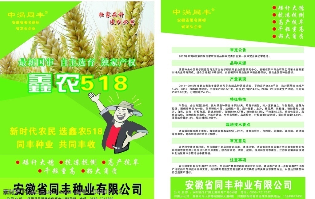 小麦彩页 优质小麦栽培 彩页 预防虫害彩页 粮食彩页 小麦种植 包装设计 室内广告设计