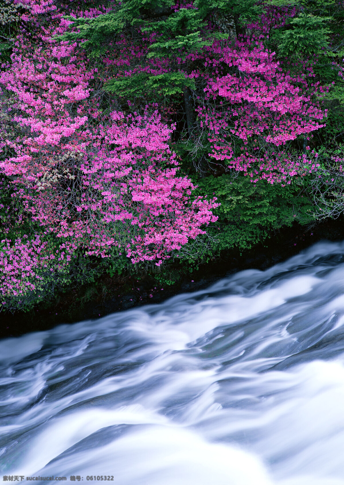 湍急的流水 自然 风景 水花 水雾 溅出 湍急 急流 河流 红花 自然风景 自然景观 黑色