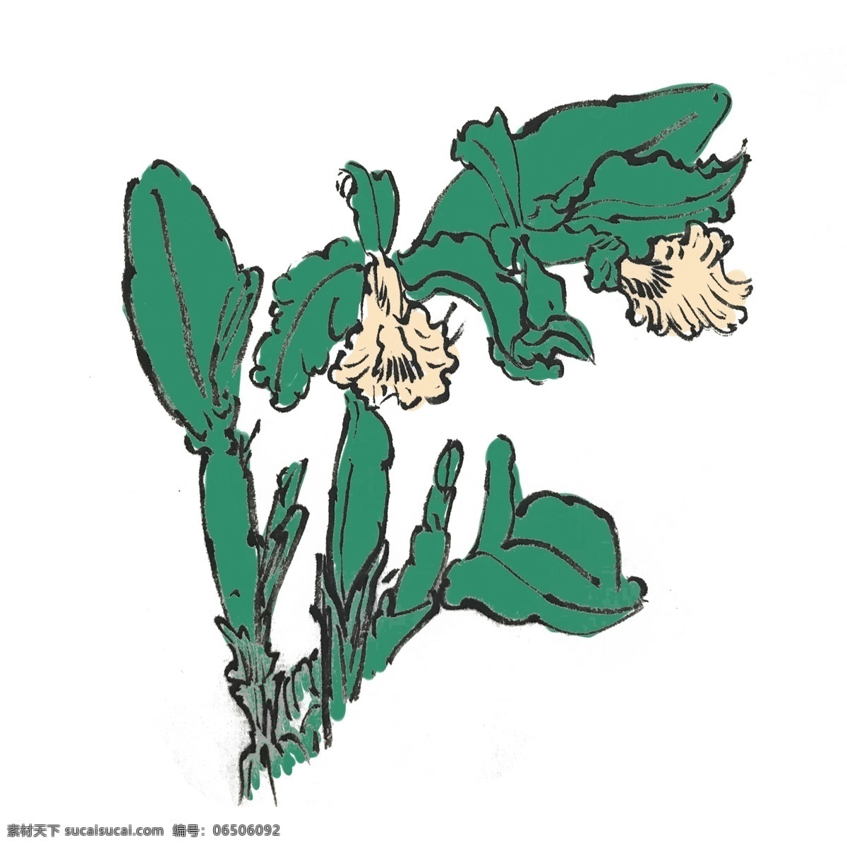 中国 风 水墨 手绘 植物 插画 中国风 动物 古风 水墨风 墨迹 夏季 彩色 昆虫 春天 生动 花草 国风 国画 花鸟 小景